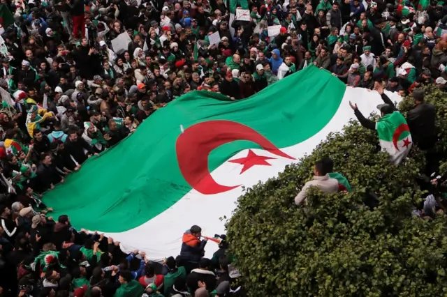 A demonstrator gestures from atop of a tree as others carry a giant national flag during a protes