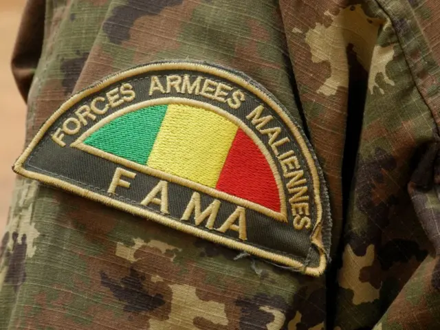 Detail of the badge of a member of the Malian Army (Fama), in Anderamboukane, in Menaka region, on March 22, 2019.