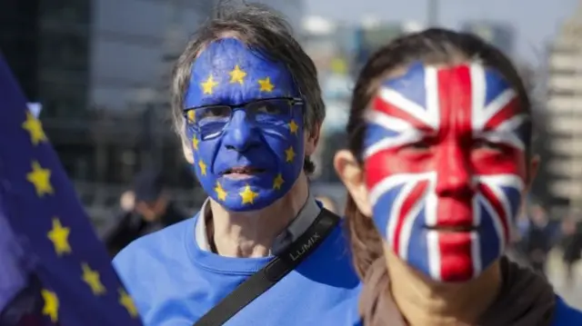 Brexit protestors