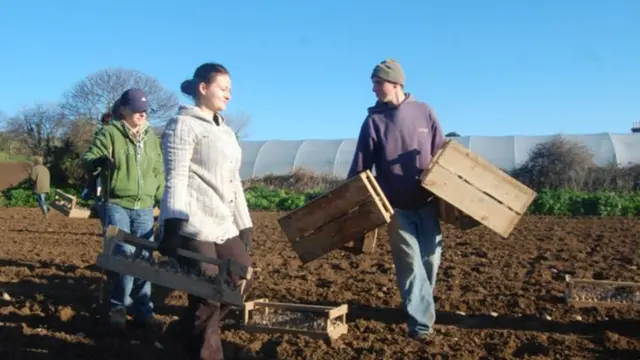 Farm workers in Jersey