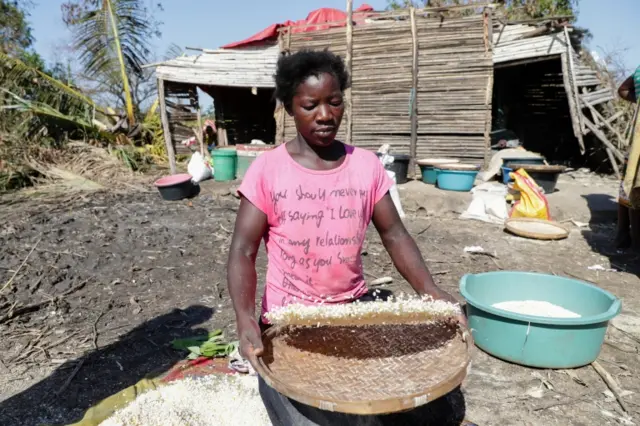 Woman sorting corn