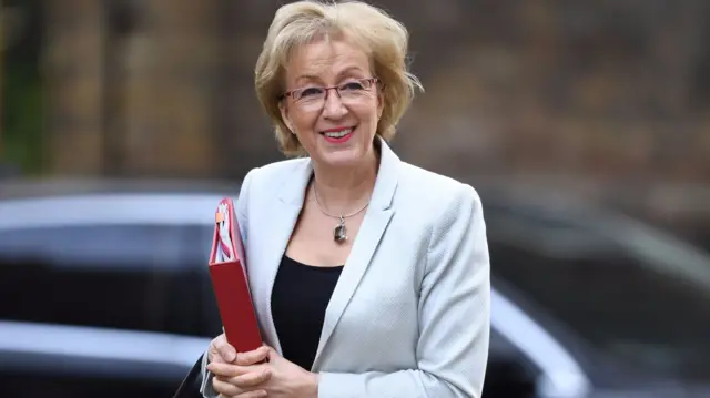 Andrea Leadsom arriving for cabinet meeting at Downing Street on 26 March 2019