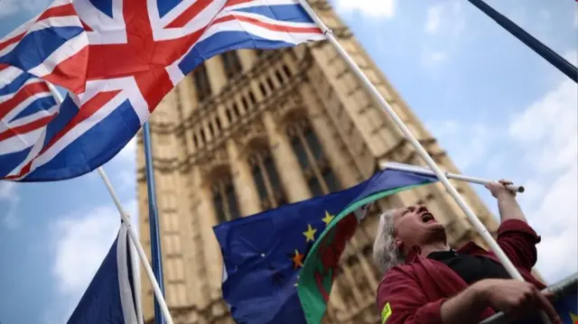 Flags outside Westminster