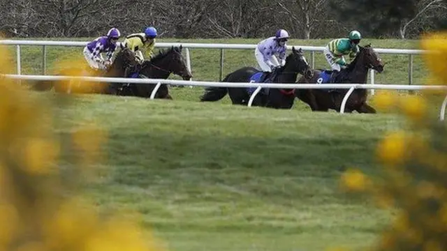 Market Rasen Racecourse