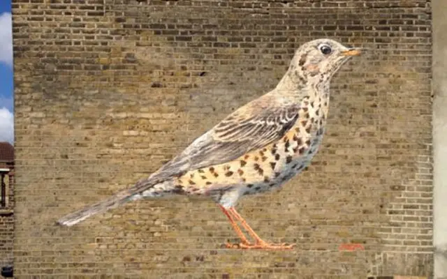 Mistle Thrush painting