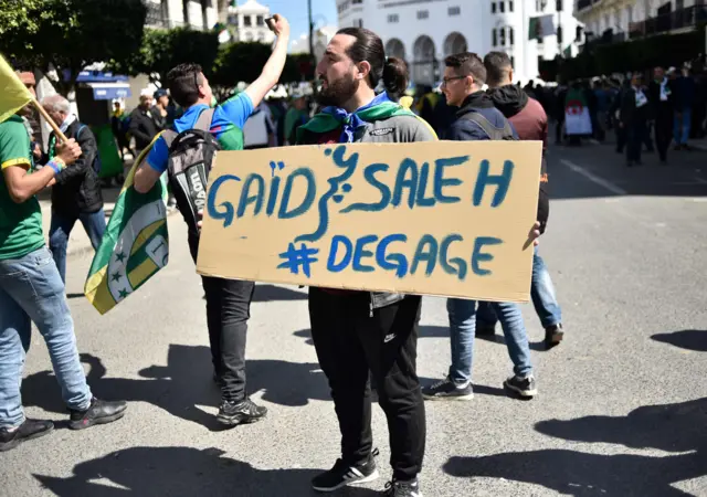 Algerian protester