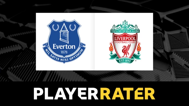 Player rater graphic