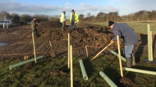 cherry willingham tree planters