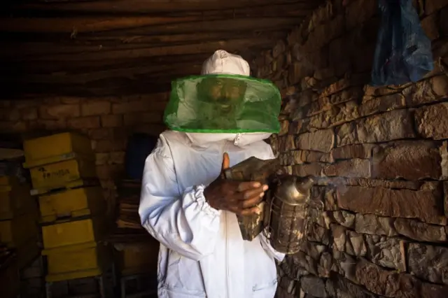 Honey farmer Alem Abreha