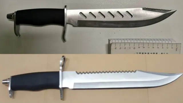 Some of the seized knives