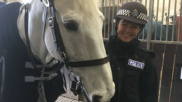 A police horse and a police officer