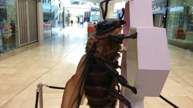 Giant insect