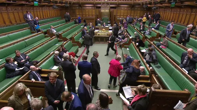 MPs leave chamber to cast votes