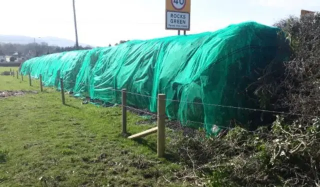 Netting on hedge