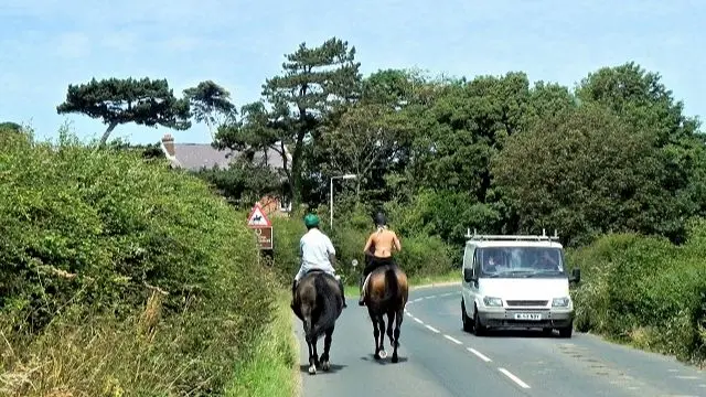 Horse riders with a passing vehicle