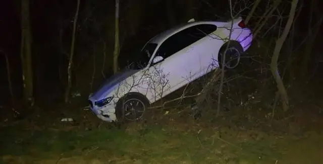 Car in trees