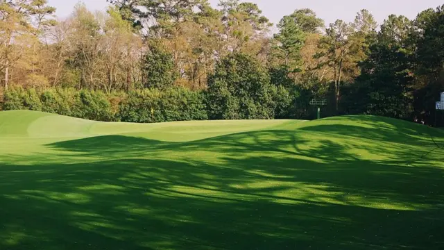 Magnolia - Fifth hole