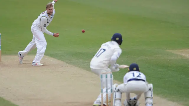 Root bowling