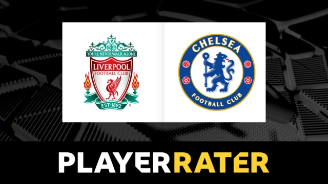 Player rater graphic