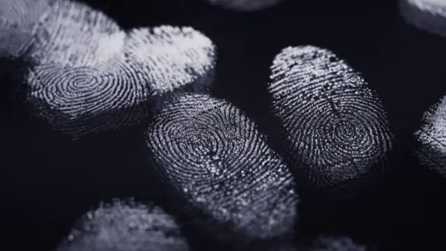 Fingerprints