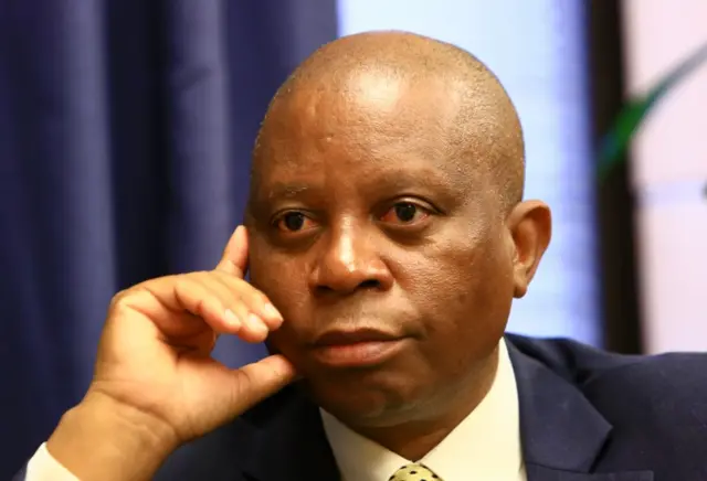 Herman Mashaba (archive shot)