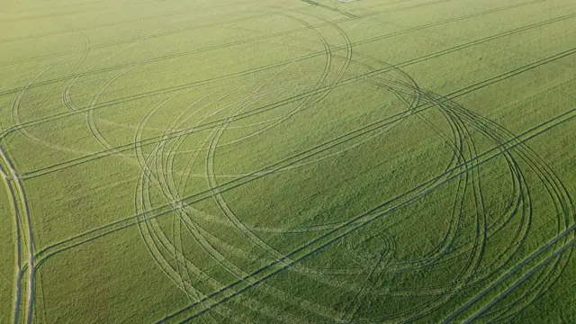 Crop circles