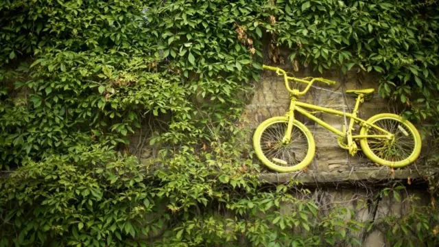 A yellow bicycle mingles among the ivy on a cottage