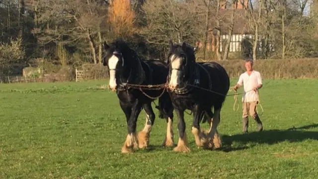 William and Alfie