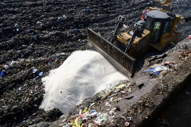 Rice in the landfill