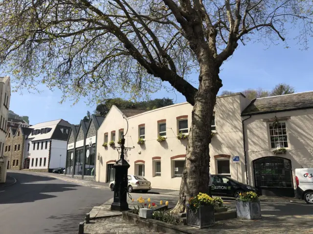 Trinity Square tree