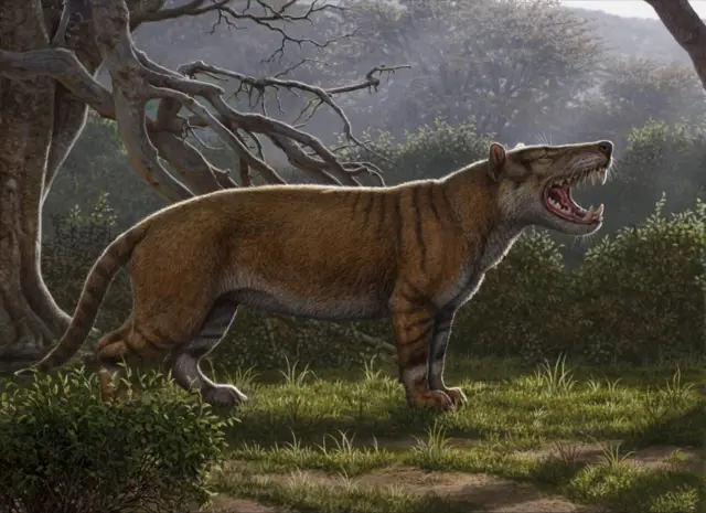 This handout reconstruction image released on April 18, 2019 by Ohio university in Athens, Ohio, shows a Simbakubwa kutokaafrika, a gigantic mammalian carnivore that lived 22 million years ago in Africa and was larger than a polar bear