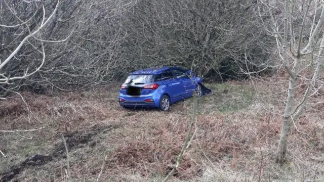 The car which crashed off the road