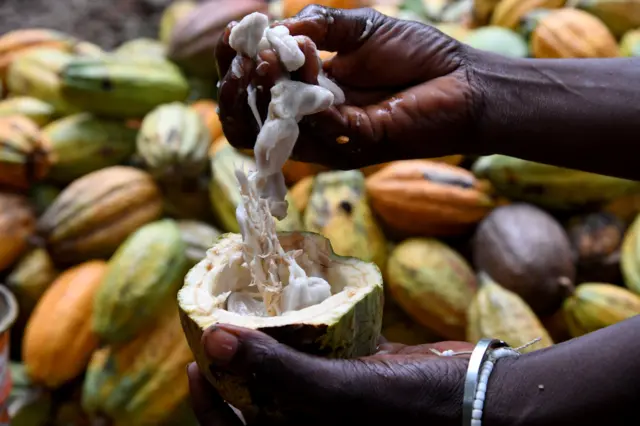 Cocoa pod