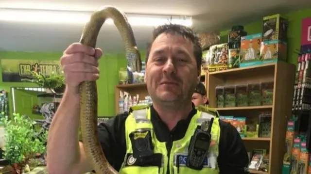 Snake with policeman