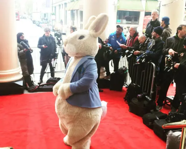 PETER RABBIT ON RED CARPET