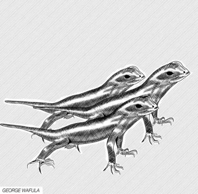 Illustration showing lizards