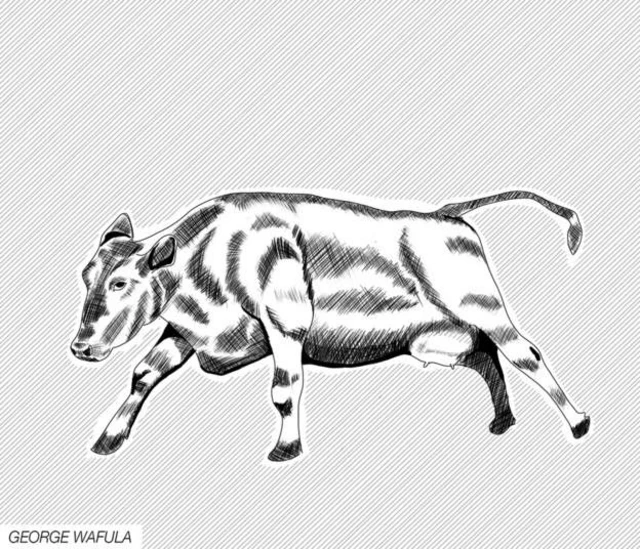 Cow