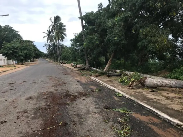 Road in Cabo Delgado