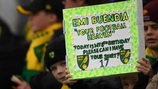 Norwich fan