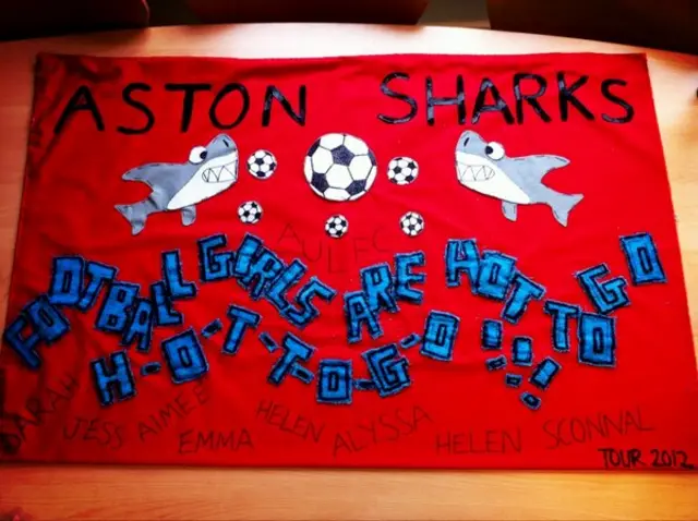 Aston University Sharks banner