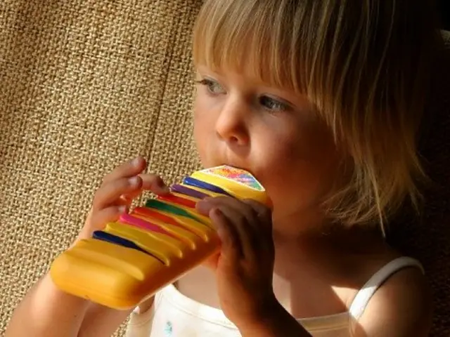 Toddler with instrument