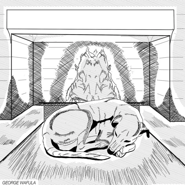 Illustration