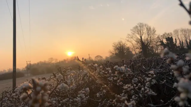 Frost in Church Broughton