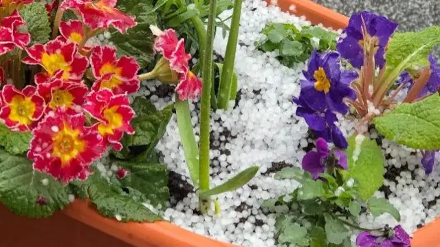 Leominster hail