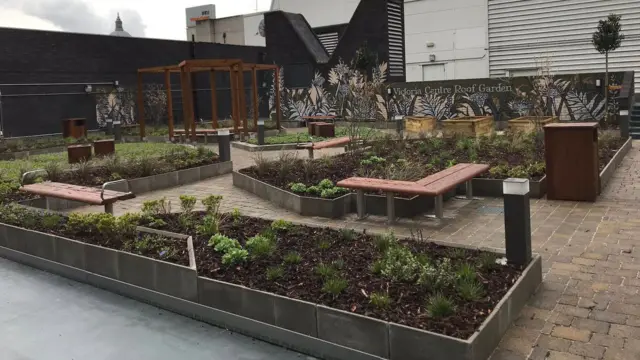 Roof garden