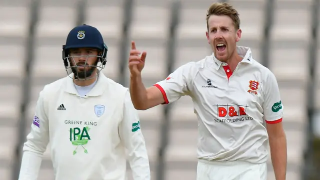 Matt Quinn celebrates a wicket for Essex