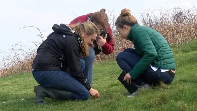 Women looking at grass