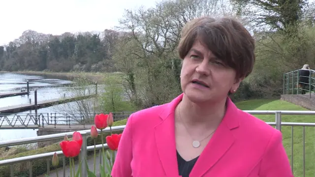 Arlene Foster