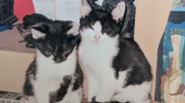 Spike with his sister Ruby in 2010