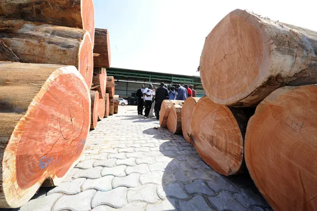 People visit the Societe Nationale des Bois du Gabon (National Wood Company of Gabon) (SNBG) in Owendo in 2012.